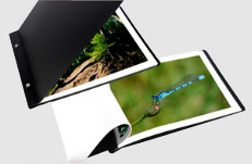 Click here to visit OPUS Photo Ideas
