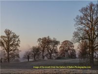 Image of the Month