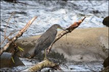 Places to Photograph - Costa Rica