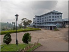 Olympus PEN - Tea Factory