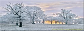 Better Photographs - Free Facebook Timeline Cover Image