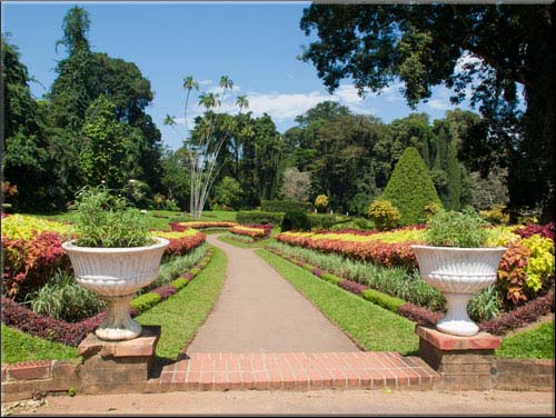 Olympus PEN - Kandy Botanical Gardens