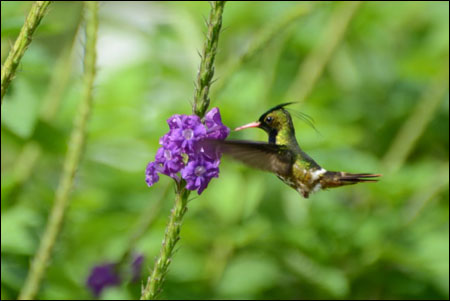 Places to Photograph - Costa Rica