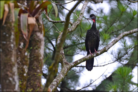 Places to Photograph - Costa Rica