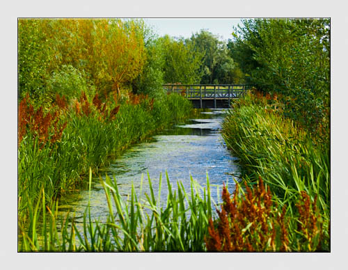 London Wetland Centre - Barnes