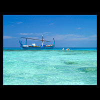 Click to visit the Gallery