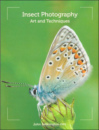 Photography Review  - Insect Photography