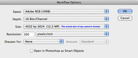 Photography Workflow - Workflow Options