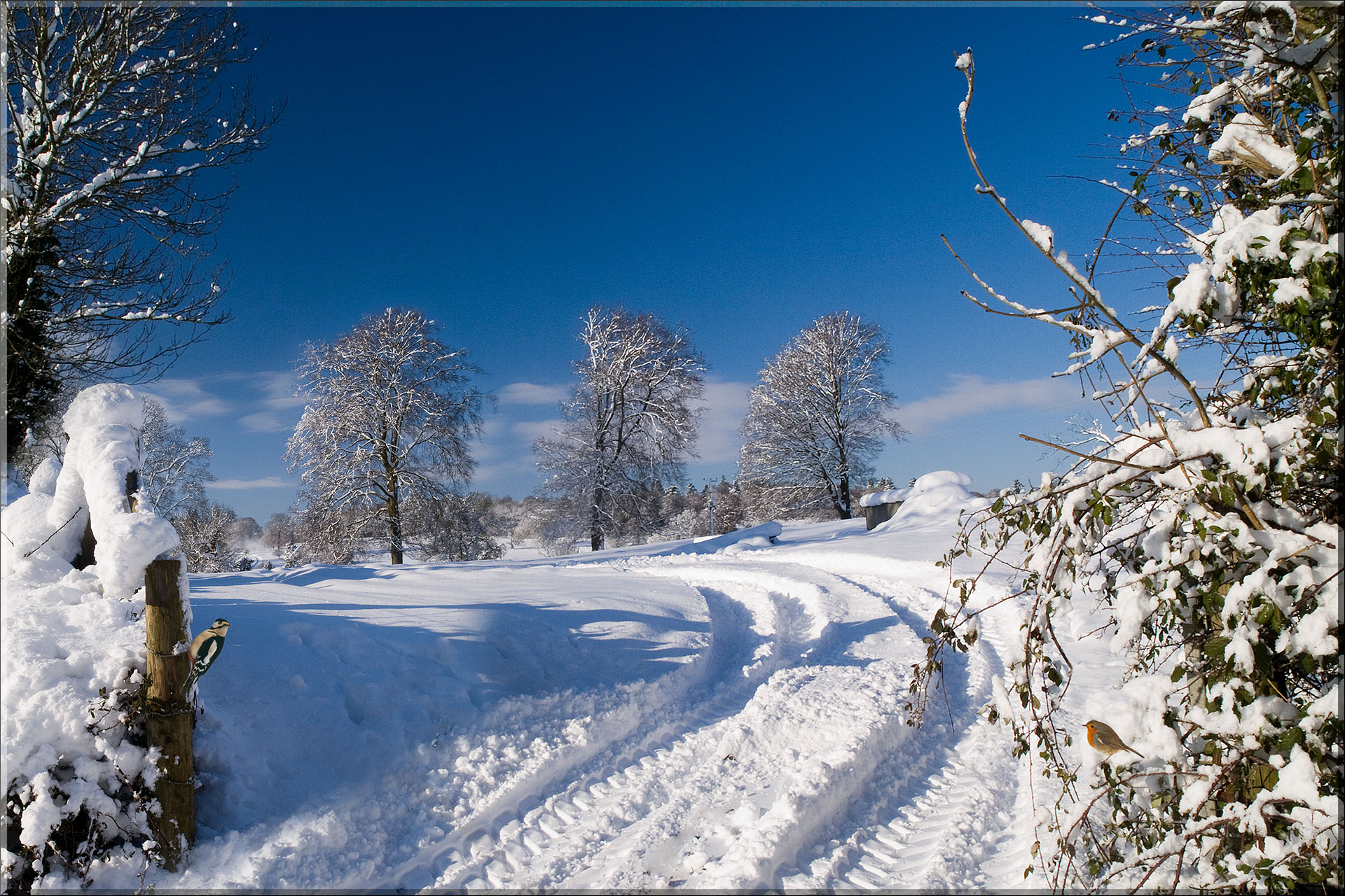Better Photographs - Free Downloadable Photographs