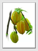 Better Photographs - Photo Editing - Subject Extraction