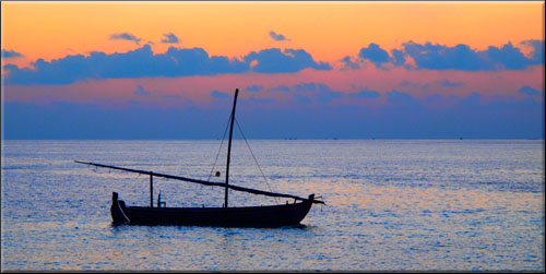 Olympus PEN - Overboard