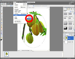 Image Extraction PE Screen 12