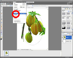 Image Extraction PE Screen 14