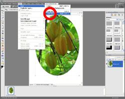 Image Extraction PE Screen 5