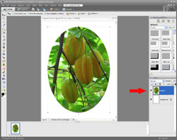 Image Extraction PE Screen 7