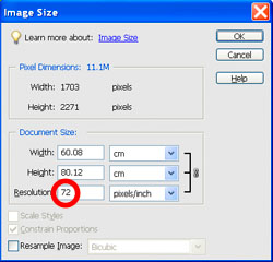 Image Sizing PE Case 1
