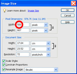 Image Sizing PE Case 1