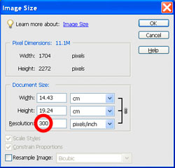 Image Sizing PE Case 2