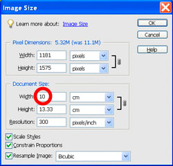 Image Sizing PE Case 2