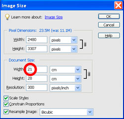 Image Sizing PE Case 3