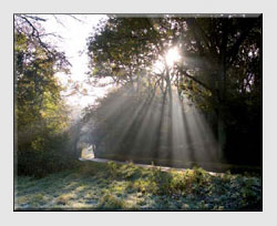 Photographs of Landscape