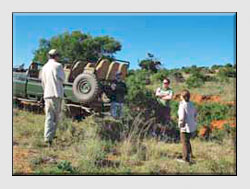 African Safari