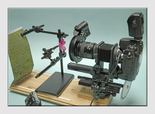 Macro Photography Equipment