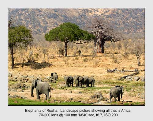 Wildlife Pictures Wildlife Pictures