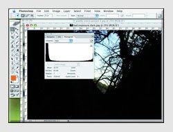 Histogramlar 2