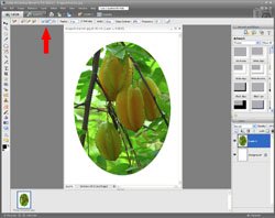 Image Extraction PE Screen 10