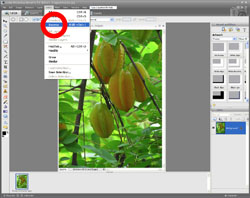 Image Extraction PE Screen 3