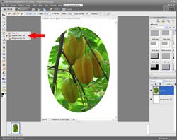 Image Extraction PE Screen 8