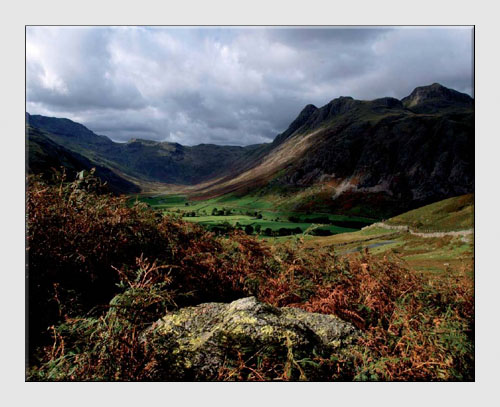 Landscape Landscape