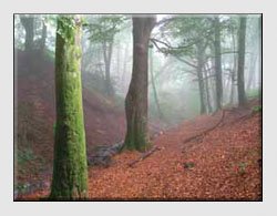 Landscape Photographs