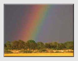 Landscape Photographs