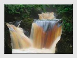 Landscape Photographs