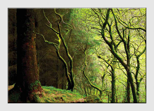 Landscape Photographs Landscape Photographs