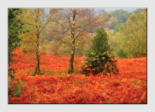 Landscape Photographs Landscape Photographs